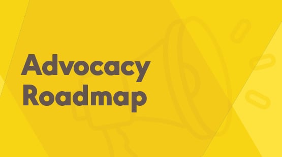 EI Provider Support: Advocacy Roadmap
