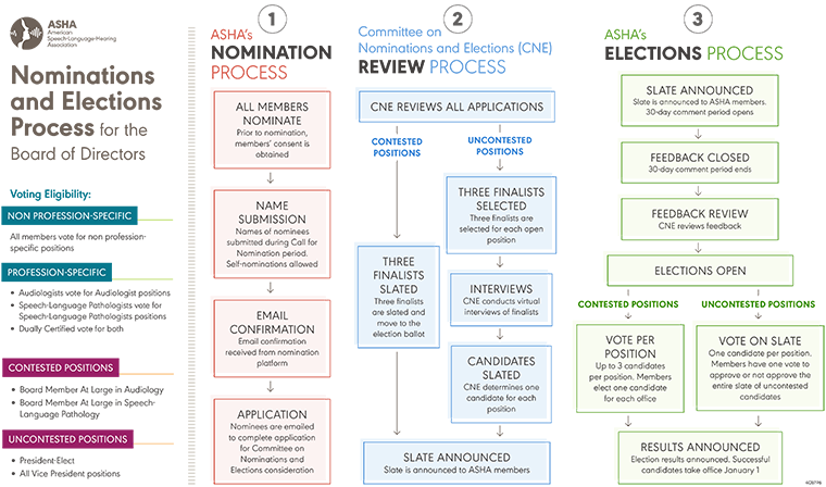 assignment 8 nominations and elections