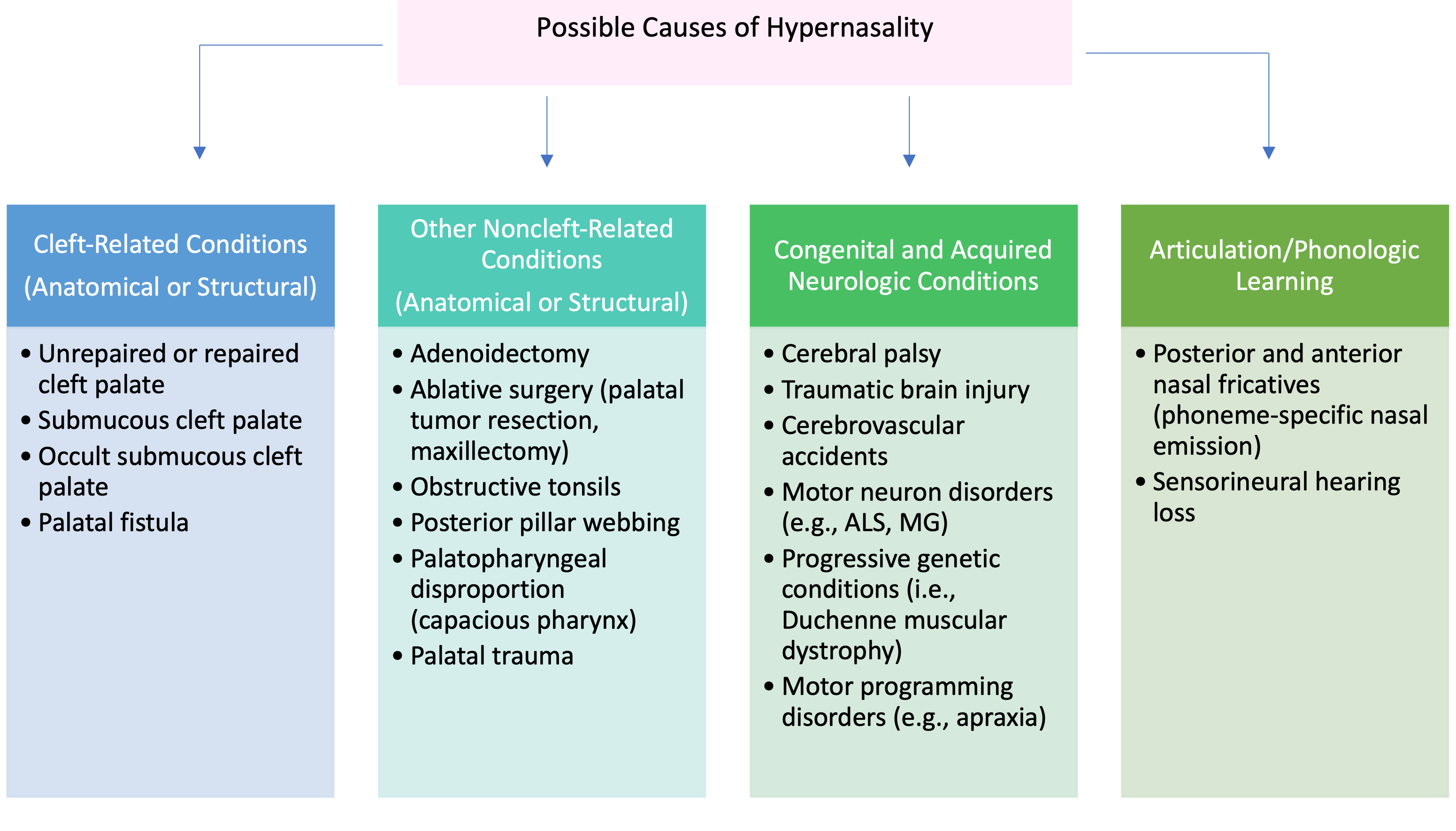 Possible-Causes-of-Hypernasality.png