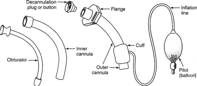 Trach tube with parts labeled