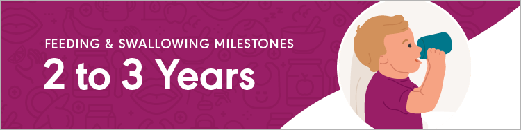 Developmental Milestones - Feeding 2-3 years